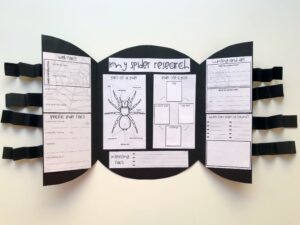 spider-research-project